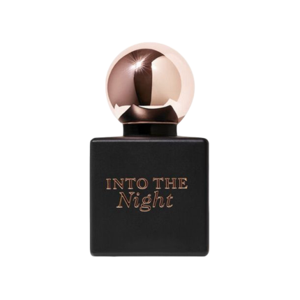 Into the Night
